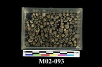 藏品(石榴子石)的圖片